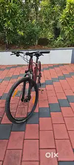 Giant Roam 3