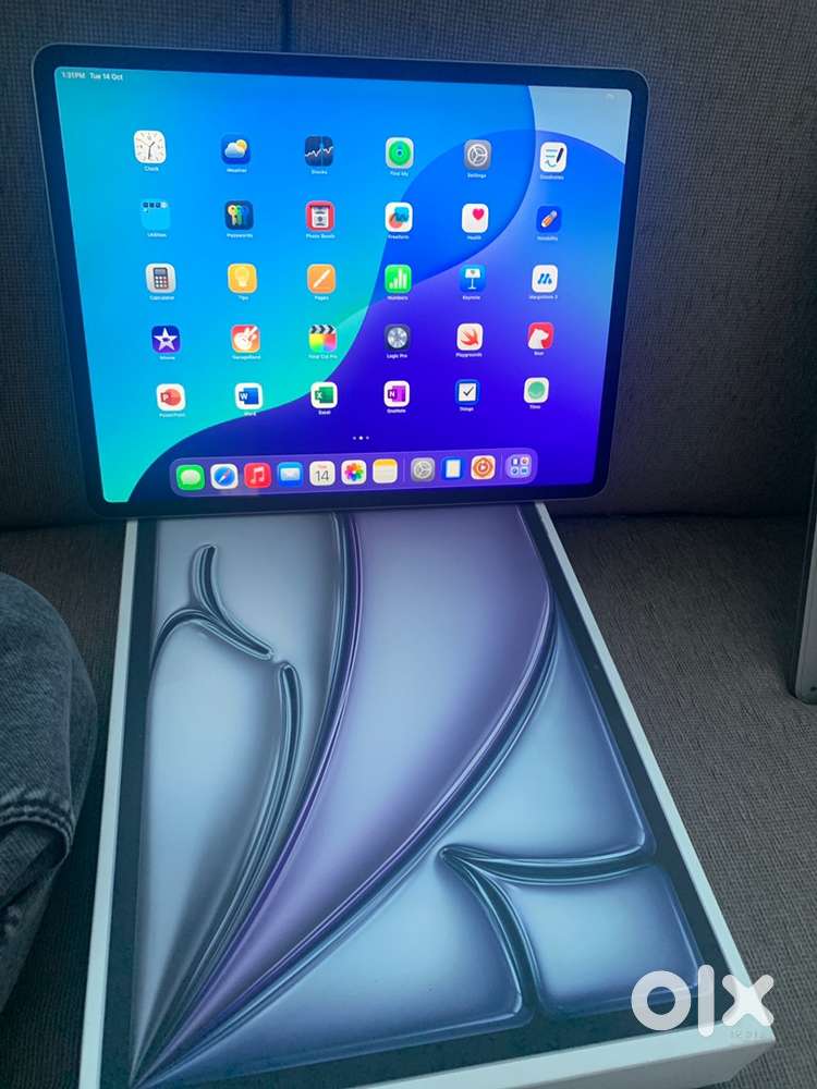 4 months apple warranty  ipad 13 m2 Wi-Fi 128gb