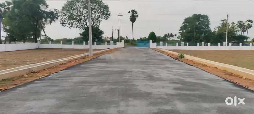 Residential plot