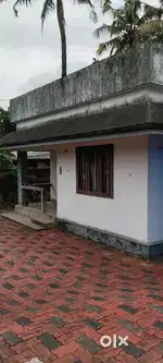 Rent house kunnuvazhy  pothiyil near homeo dispensory