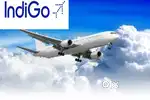 Urgent hiring in Indigo airlines apply fast limited seats available