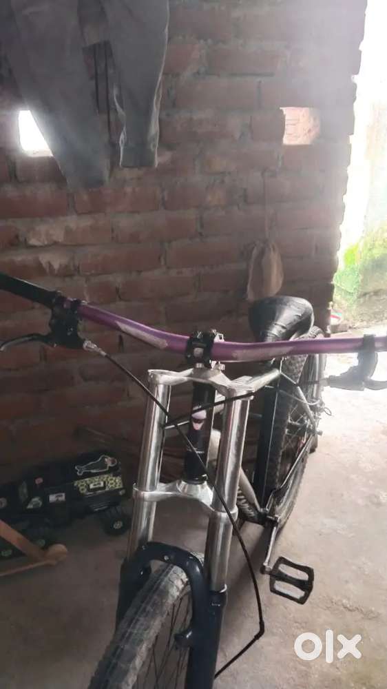 Fully modify mountain bike