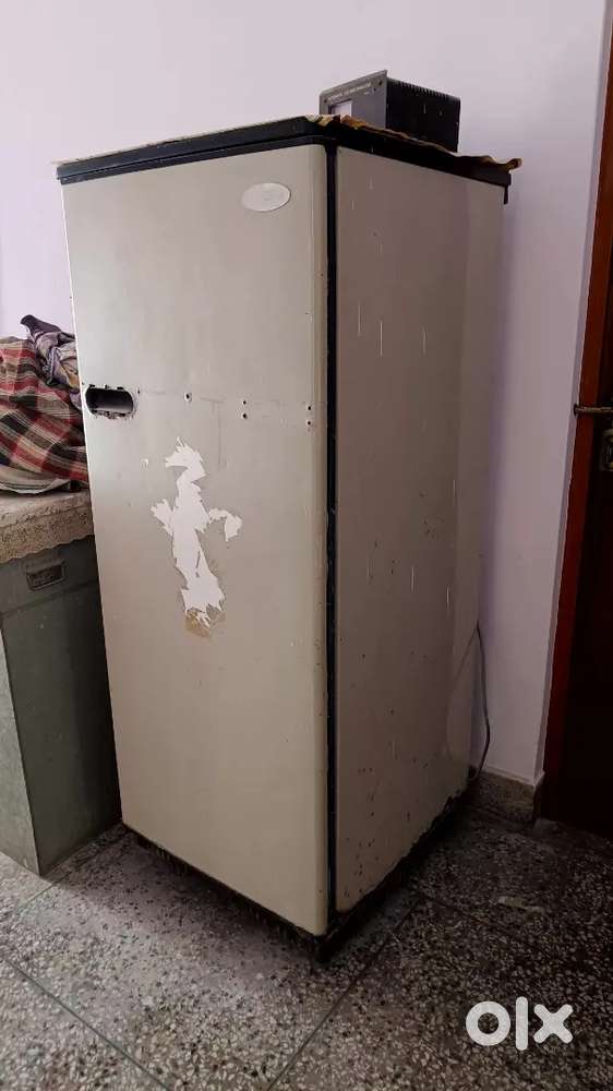 Working Single-Door Refrigerator for Sale.