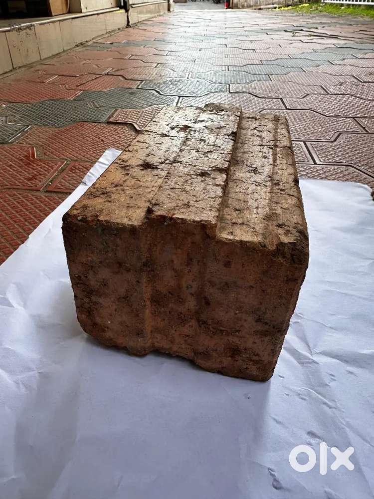 Interlock Brick for sale