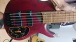 Cort B5 Element  5 string Bass Guitar