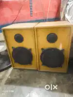 8 inch Apex speakers