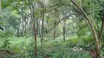 Plote for sale for house