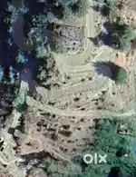 1.5 bigha land for sale on 300 mtr from theog bypass