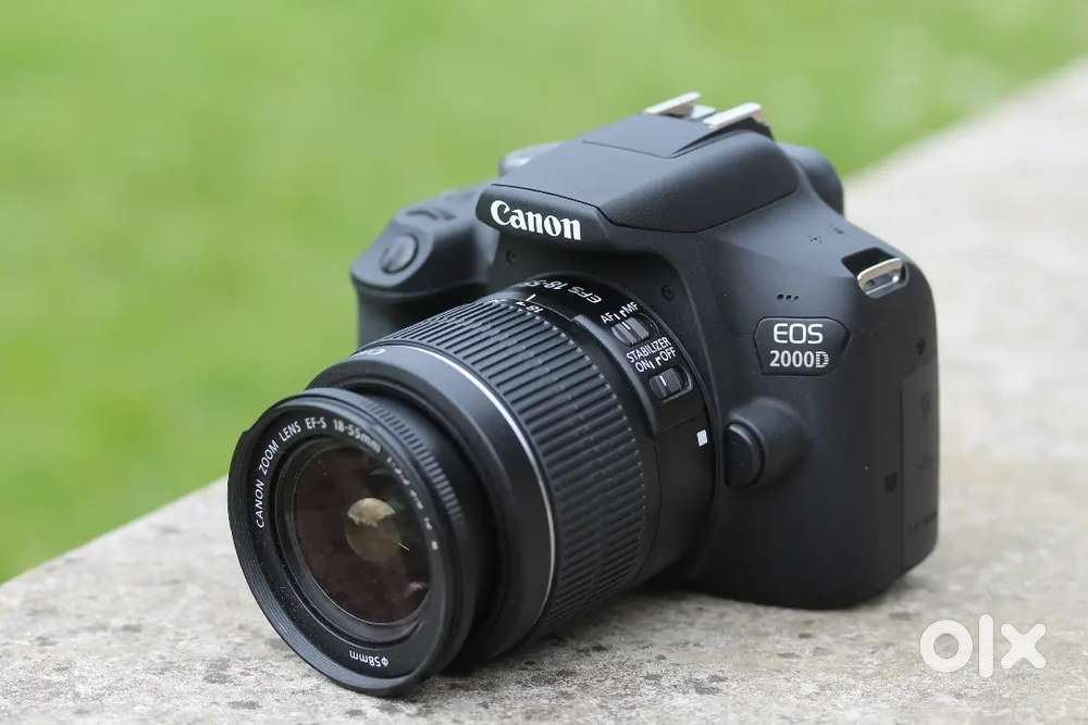 Cannon camera with gimbal