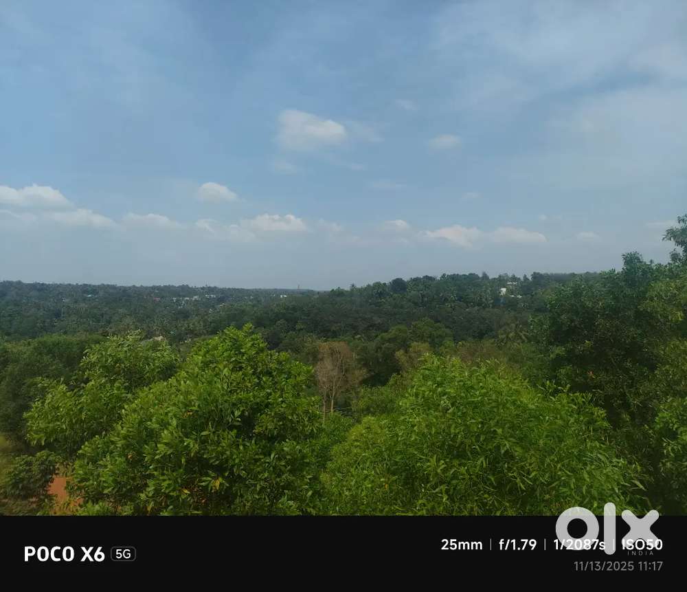 18 Cents plot for sale