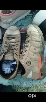 Woodland shoes for men 2-3 bar pehne h