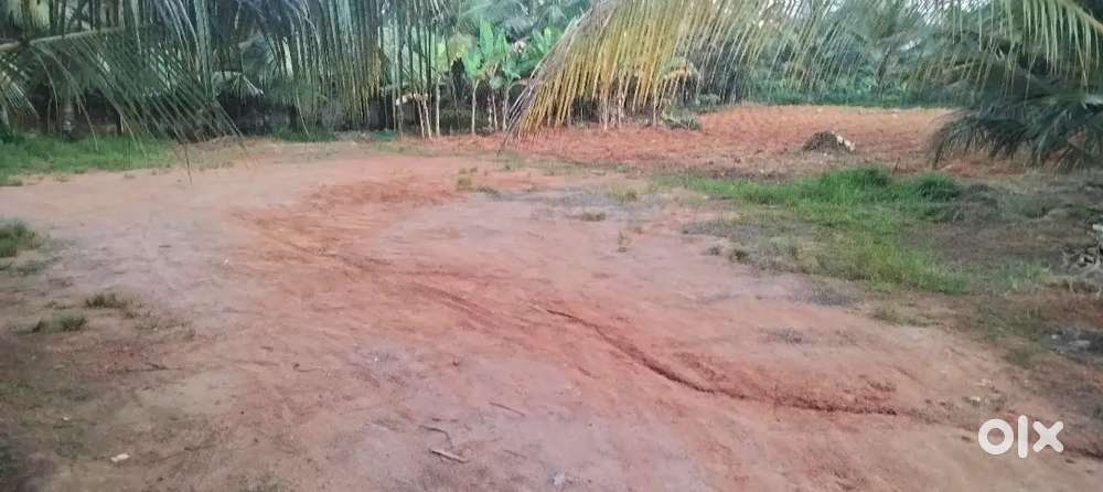 265000 per cent, Total plot 10 cent