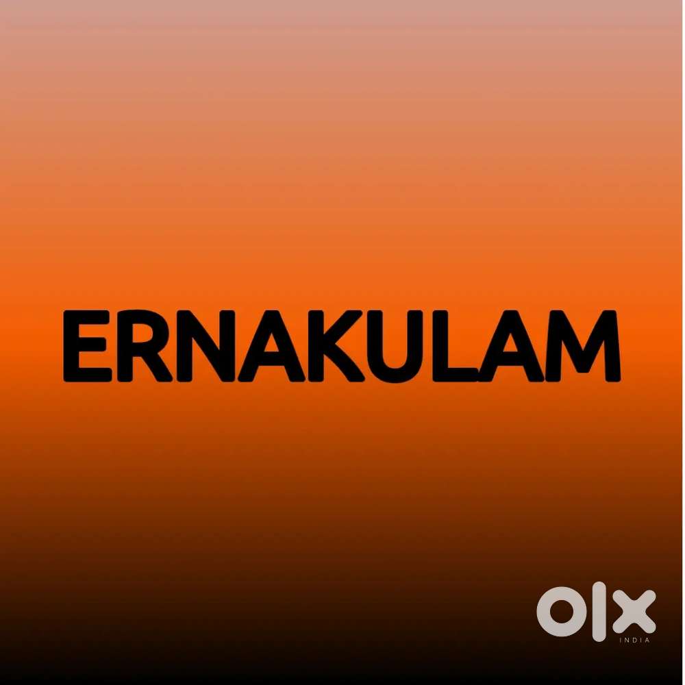 COLLECTION EXECUTIVE & TEAM LEADER