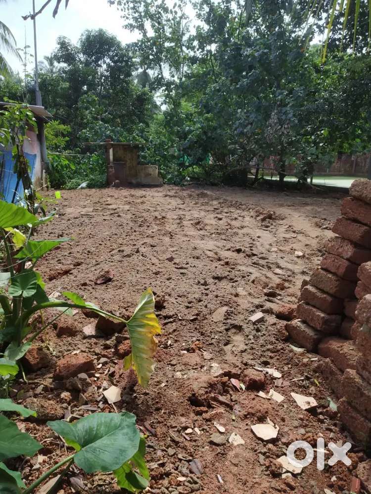 Plot for sale 10 cent near parappangadi