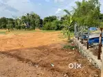 Huge area of land for sale near Kinassery