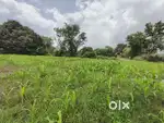 फामलेंड 10000 फ़ीट से चालू है 250/- फ़ीट में डामल से लगे