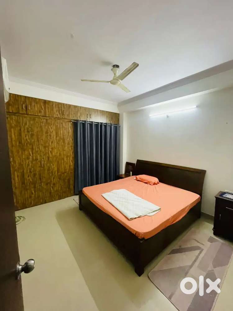 Rent for 2bhk Flat Fully furnished covered campus Rohit Nagar.