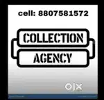 Collection executive