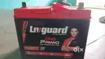 Liv guard battery