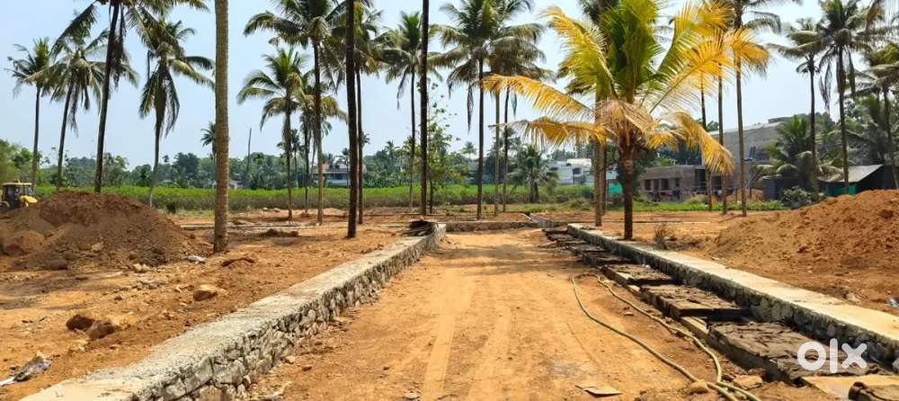 Kothamagalam - Town from1.5 km,15 Cent Residential house plot for sale