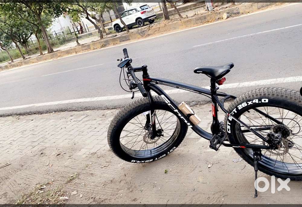 Scholl Rhino Fat Bike