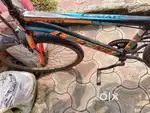 Orange & Black colour cycle