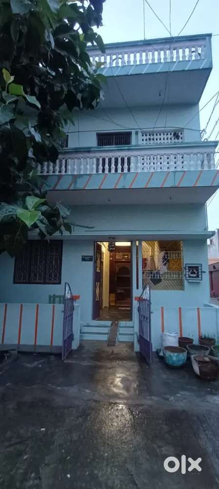 ( kpk street) perumal kovil street saidai arani doctor mohanambal near