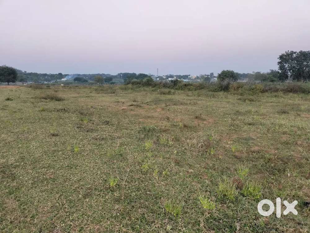 2000gajalu open plot