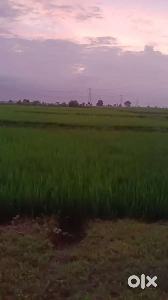 कृषि जमीन 4 एकड़ बेचना है।