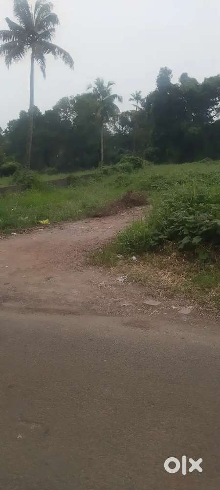 House ഫ്ലോട്ട്