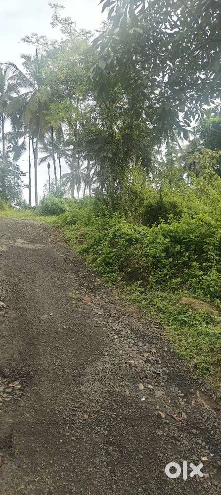 13 cent house plot for sale