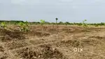 Thirubuvanai plot sale