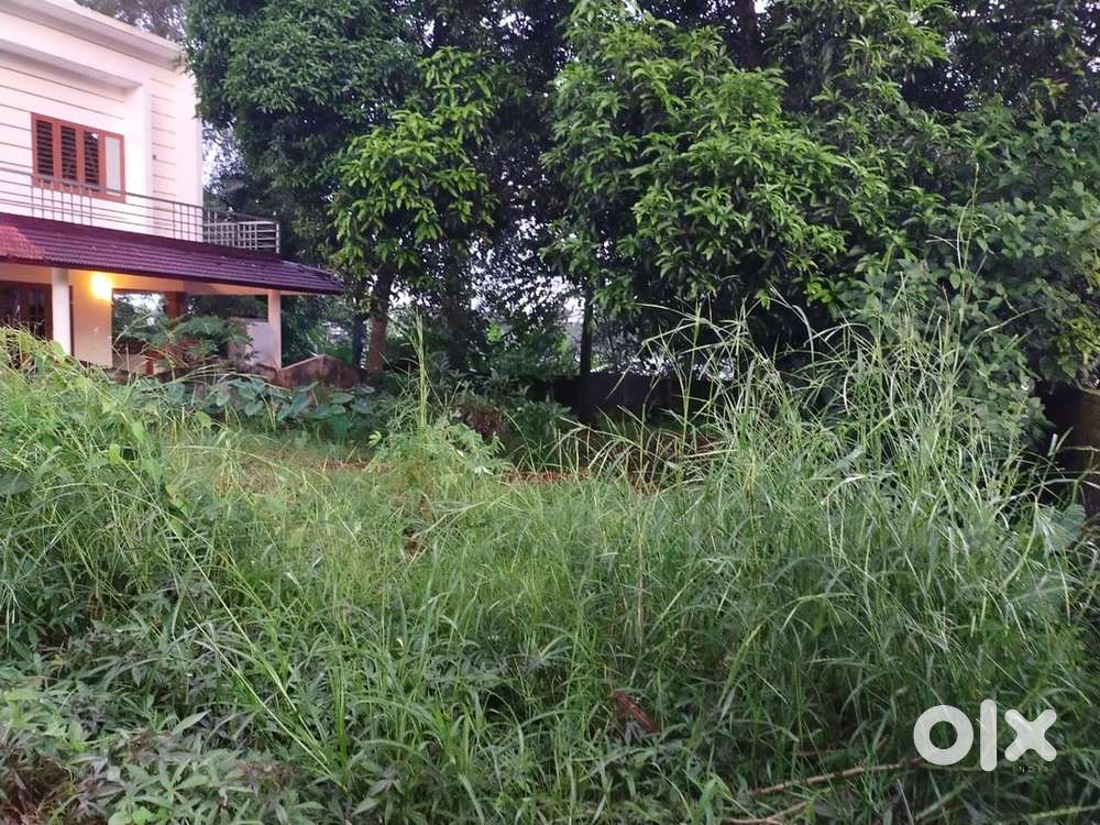 7.5 cent land for sale at Aluva Thuruth