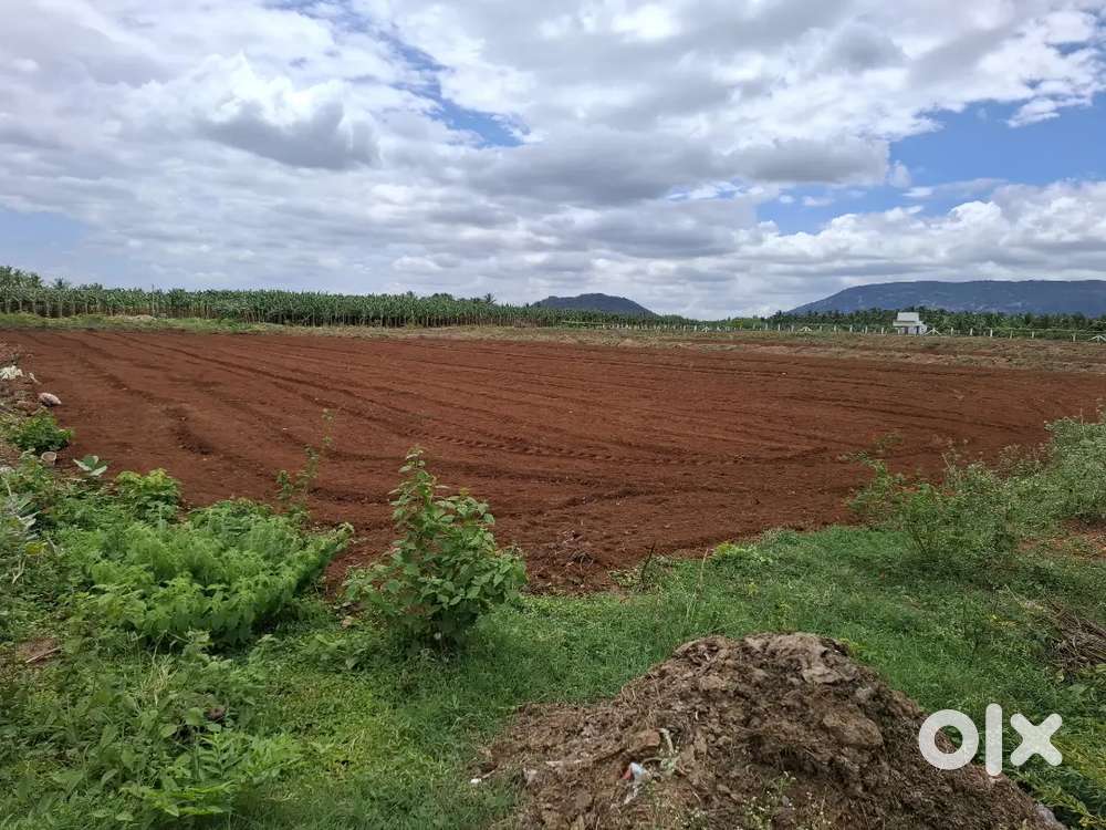 Kalipalayam komali arangan arch near