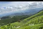 MUNNAR 20 CENT RESORT PERMIT LAND