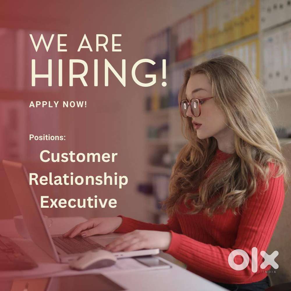Customer Relationship Executive