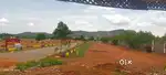 2.75CENTS  GATED COMMUNITY PLOTS FOR SALE NEAR METTUPALAYAM ROAD