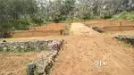 Chottanikkara Eruvely Thalakode plot for sale