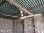 Fan oswal ka