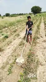 Reddigudem village, rajupalem mandal