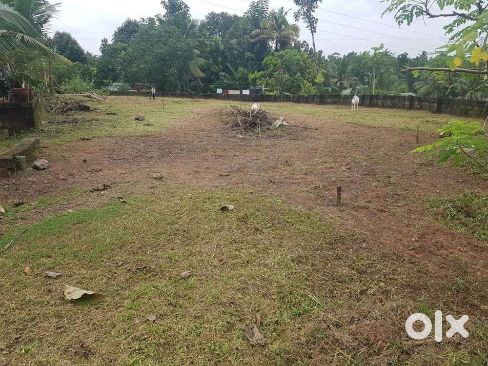 11 cent plot 5 km from Aluva for sale