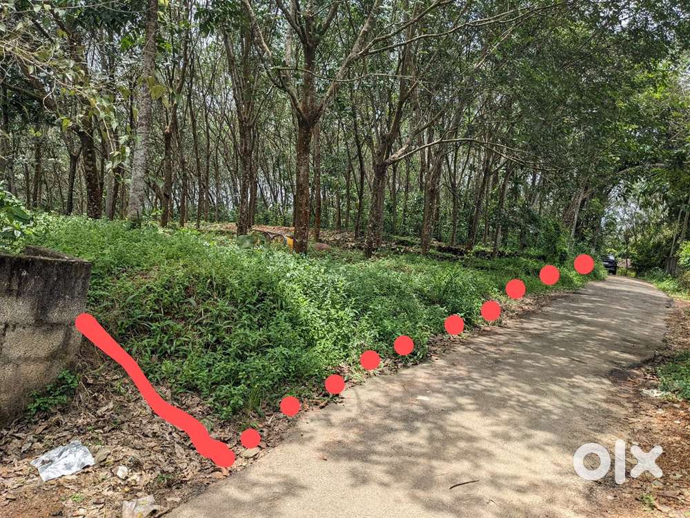 52 cent plot with 30 meters Frontage for Sale in Ponganadu.