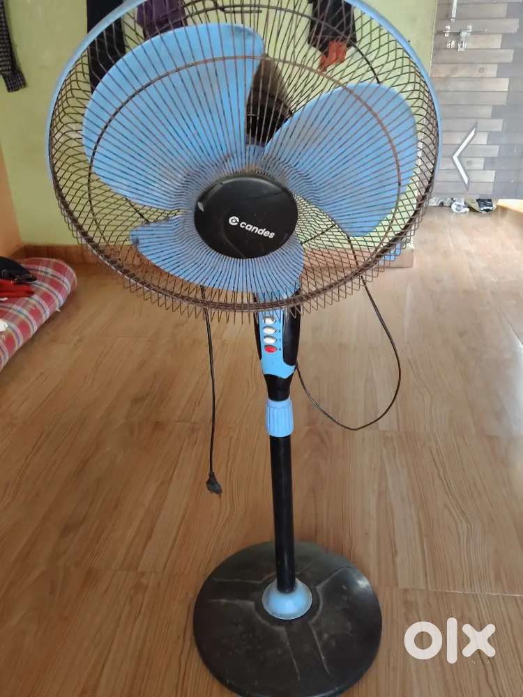 Standing Fan
