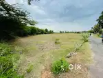 நீடாமங்கலத்தில் இடம்