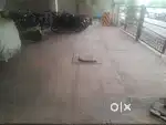 Covered car parking for rent in Flats