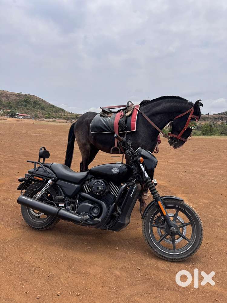 Harley davidson street 750