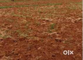 Agricultural land for sale near 100 Kms to Bangalore