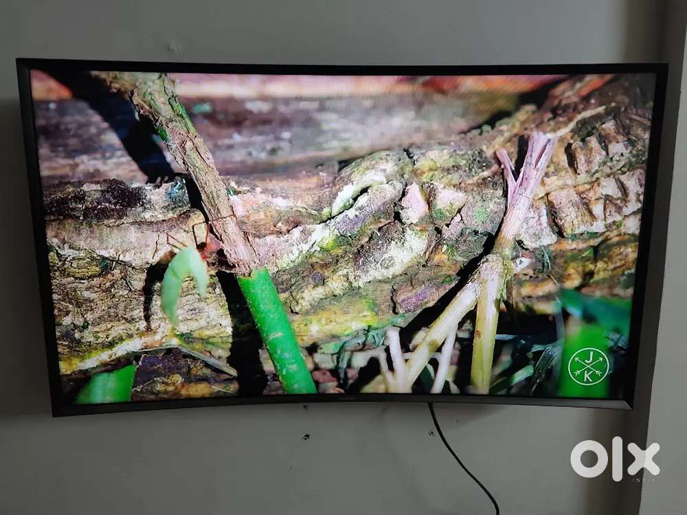 Samsung 44in Curved tv