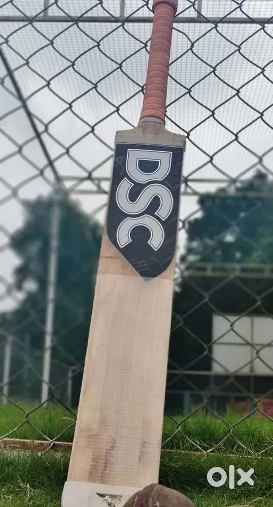 DSC english willow high ping cricket bat (4200 for indore citizens)