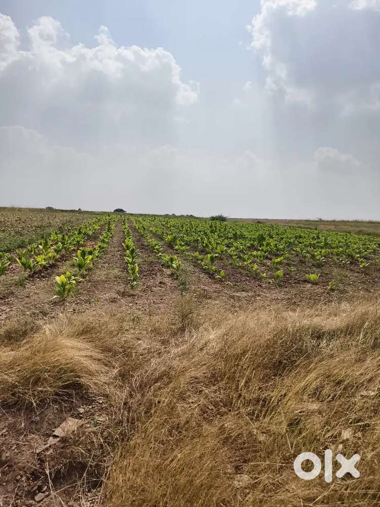 1.75 akaras near orvakal solar park at devanuru village Nandyal kurnoo